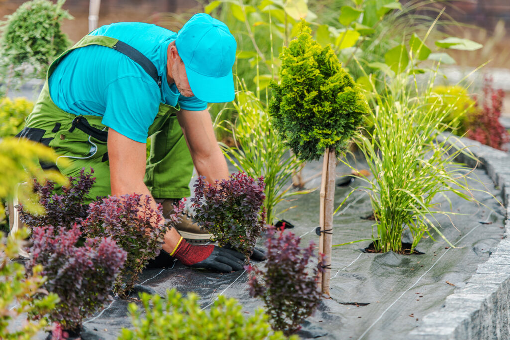 Garten und Landschaftsdienst